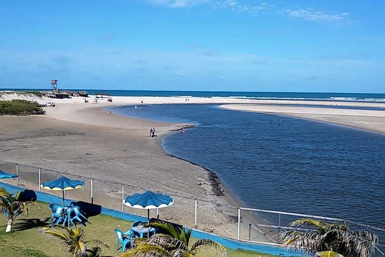Imagen 4